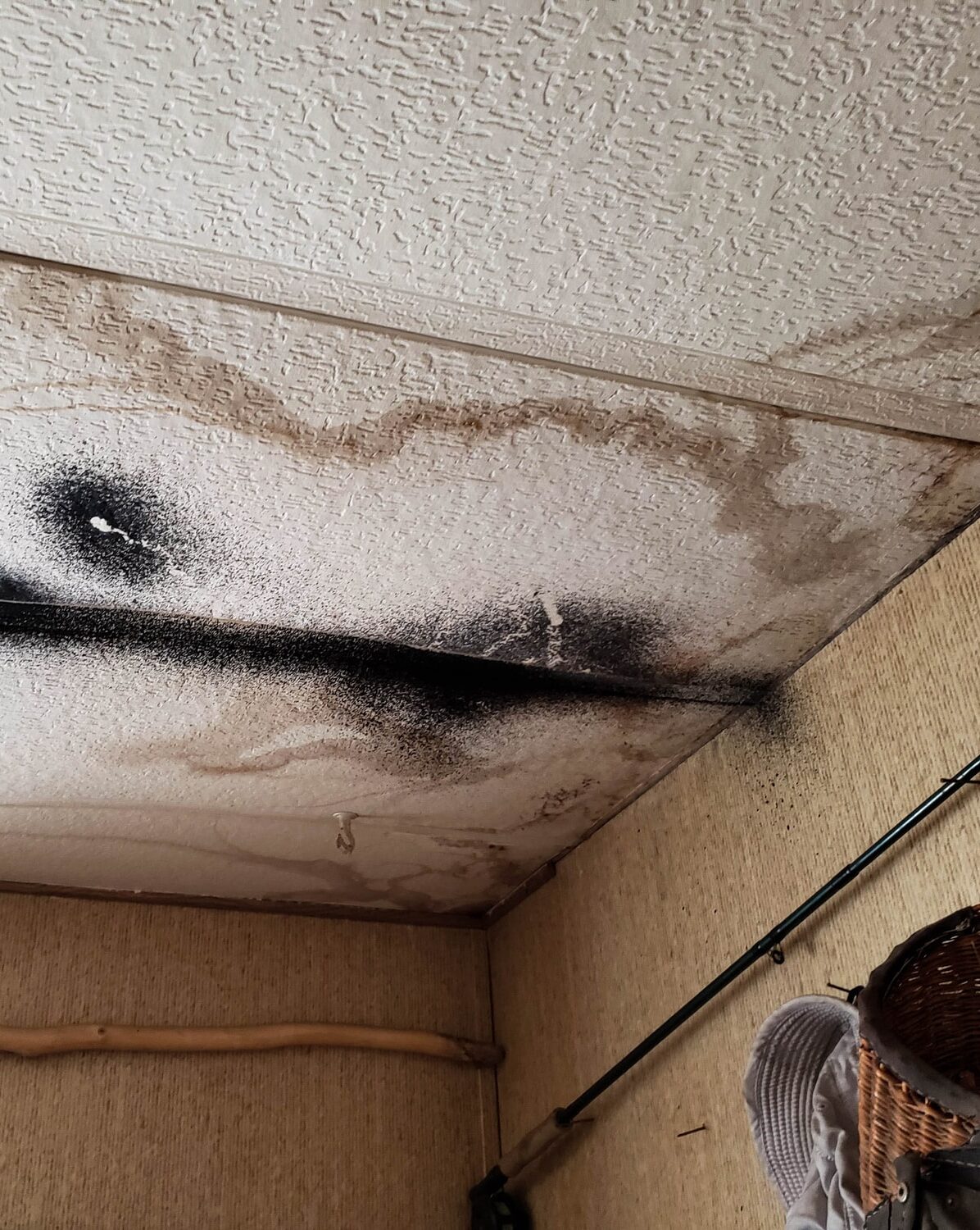 Fire and Water Repair